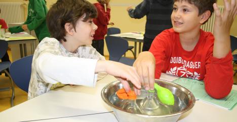 Forschendes Lernen an der Birger-Forell-Grundschule Forschendes Lernen an der Birger-Forell-Grundschule